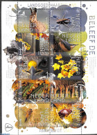 Netherlands 2021 Nature, Haarzuilens 10v M/s S-a, Mint NH, Nature - Birds - Frogs & Toads - Insects - Rabbits / Hares - Neufs