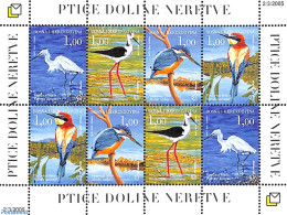 Bosnia Herzegovina - Croatic Adm. 2005 Birds M/s (with 2 Sets), Mint NH, Nature - Birds - Kingfishers - Storks - Bosnië En Herzegovina