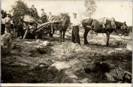 CP Carte Photo D'époque Photographie Vintage Paysan Labourage Cheval Labour  - Couples