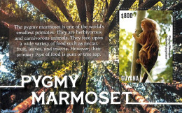 Guyana 2022 Pygmy Marmoset S/s, Mint NH, Nature - Animals (others & Mixed) - Monkeys - Guyana (1966-...)