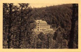 68-LA SCHLUCHT-HOTEL DES ROCHES-N°400-H/0113 - Autres & Non Classés