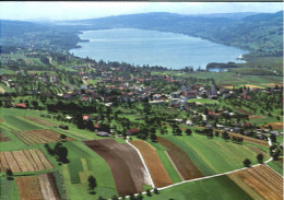 10560819 Hallwilersee Hallwilersee Fliegeraufnahme Hallwil - Sonstige & Ohne Zuordnung