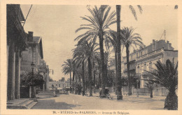 83-HYERES LES PALMIERS-N°401-G/0353 - Hyeres