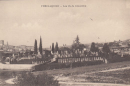 FORCALQUIER (Alpes-de-Haute-Provence): Les Ifs Du Cimetière - Forcalquier