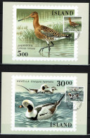 Island - 1988-89 - Fauna - Vögel, Oiseaux, Vogels - Ijseend, Grutto, Sneeuwgors, De Grauwe Franjepoot - FDC