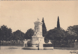 FORCALQUIER (Alpes-de-Haute-Provence): Le Monument Aux Morts - La Provence Pittoresque - Forcalquier