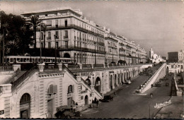 N°3414 W -cpsm Alger -Boulevard De La République- - Alger