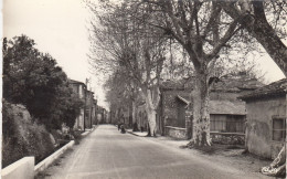 LA ROQUEBRUSSANNE (Var): La Rue Du Portail - La Roquebrussanne