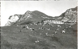 10560250 Gruyeres FR Chalet Du Gros Plane X 1960 Gruyeres - Autres & Non Classés