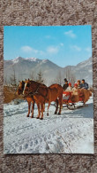 CPM CHEVAL CHEVAUX ATTELAGE LUGE CHEVAUX DE HAFLING HAFLINGER GESPANN ED MICHEL KUNSTVERLAG 5789 - Horses