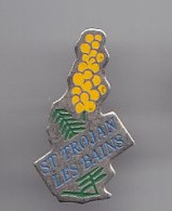 Pin's Saint Trojan Les Bains En Charente Maritime Dpt 17 Mimosas Réf 1846 - Steden