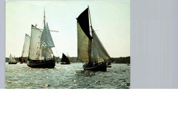 La Course Des Vieilles Coques - Sailing Vessels