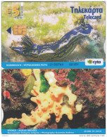 CYPRUS - Underwater 2/Nudibranch-sponge, Tirage 20000, 01/10, Used - Chipre