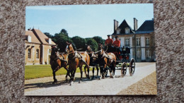 CPSM CHEVAL CHEVAUX ATTELAGE A 4 ETALONS SELLE FRANCAIS HARAS DU PIN EXMES ORNE - Pferde