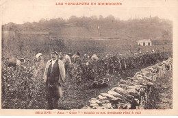 21 - BEAUNE - SAN30392 - Aux "Cras" - Domaine De MM Bouchard Père & Fils - Agriculture - Vigne - Beaune
