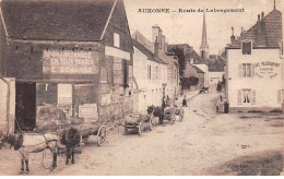 21 - AUXONNE - SAN33010 - Route De Labergement - Auxonne
