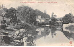 21 - MONTBARD - SAN38362 - Le Chemin De La Prairie Et La Brenne - Montbard