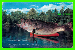 STE-ROSE DU DEGELE, QUÉBEC - MANOIR STE-ROSE - POISSON - THE BIG ONE GOT AWAY - LUSTERCHROME - - Other & Unclassified