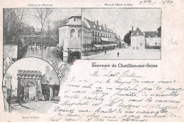 21 - CHATILLON SUR SEINE - SAN41157 - Souvenir De Chatillon Sur Seine - Chatillon Sur Seine