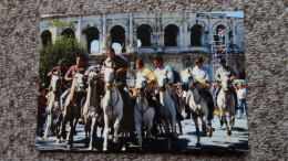 CPM CHEVAL CHEVAUX NIMES GARD AVRIVADE DEVANT LES ARENES DE NIMES ED NUMEDITIONS 2011 - Pferde