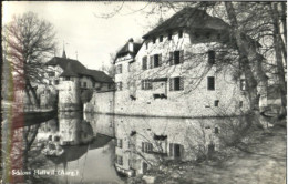 10559505 Seengen AG Schloss Hallwyl  X 1959 Seengen AG - Autres & Non Classés
