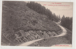 173 DEPT 65 : édit. L F N° 1403 : Descente Du Col D'Aspin Sur Payole - Autres & Non Classés