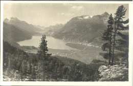 10559487 Silvaplalnersee Silvaplalnersee  Ungelaufen Ca. 1930 Silvaplalnersee - Autres & Non Classés