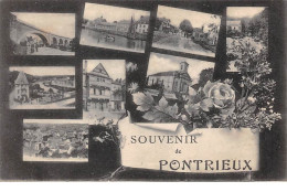 22 - N°111006 - Pontrieux - Souvenir De Pontrieux - Pontrieux