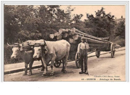 21.SEMUR.ATTELAGE DE BOEUFS. - Semur