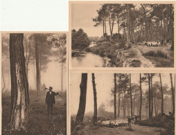 LES LANDES De GASCOGNE - Lot De 3 CP : Le Berger Bûcheron - Le Gemmeur - Un Ruisseau Dans La Forêt Landaise - Autres & Non Classés