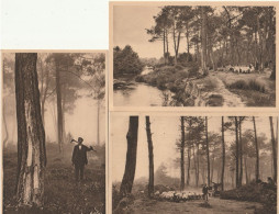 LES LANDES De GASCOGNE - Lot De 3 CP : Le Berger Bûcheron - Le Gemmeur - Un Ruisseau Dans La Forêt Landaise - Otros & Sin Clasificación