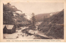 22 - SAINT BRIEUC - SAN27755 - La Vallée Du Gouëdic Sous La Neige - Jardin Public - Saint-Brieuc