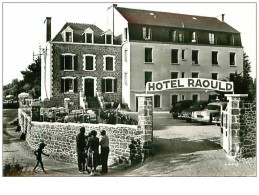 22.SAINT JACUT DE LA MER.n°77.L'HOTEL RAOULD.CPSM.EN AVION AU DESSUS DE - Saint-Jacut-de-la-Mer