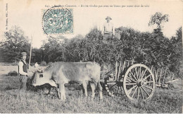 23 .n°109665 . Au Pays Creusois . Agriculture .attelage Boeufs . - Andere & Zonder Classificatie