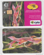 CYPRUS - Cyprus Orchid, 15 Years Telecards Cyprus Collectors Society, Tirage 1100, 03/10, Mint - Cyprus