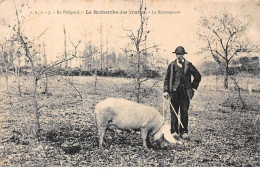 24 - SAN62714 - EN PERIGORD - La Recherche Des Truffes - Agriculture - Other & Unclassified