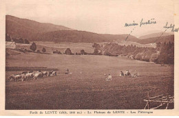 26 - LENTE - SAN44598 - La Forêt - Le Plateau De Lente - Les Pâturages - Agriculture - Autres & Non Classés