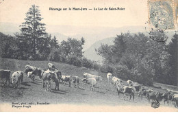 25 - SAINT POINT - SAN46039 - Pâturage Sur Le Haut Jura - Le Lac - Autres & Non Classés