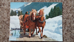 CPM CHEVAL CHEVAUX ATTELAGE HAFLINGER ED HEIDELBERG F 996 NEIGE ALPES - Horses