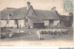 CAR-AAAP2-23-0135 - Ferme Creusoise - Troupeau Moutons, Porc - Agriculture - Other & Unclassified