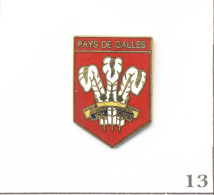 Pin’s Sport - Rugby XV / Blason De L’Équipe Du Pays De Galles Avec Poireau. Non Est. EGF. T1017-13 - Rugby