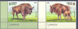 2024. Belarus, Fauna Of Belarus, European Bison, 2v, Mint/** - Belarus