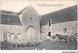 CAR-AAGP2-28-0164 - EN BEAUCE - Ferme D'AUZAINVILLE - Troupeau De Beliers Dishley Merinos - Andere & Zonder Classificatie