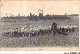 CAR-AAGP2-28-0165 - EN BEAUCE - Berger Et Son Troupeau - Sonstige & Ohne Zuordnung