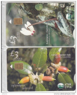 CYPRUS - Flowers, Cyclamen/Golden Oak, Collector"s Cards No 12-13, Tirage 850, 06/06, Mint - Cipro