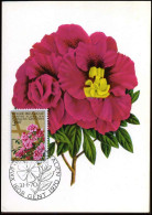 1525 - MK - Gentse Florali?n IV #1 - 1961-1970