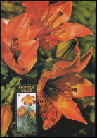 2359 - MK - Gentse Floraliën VIII - 1981-1990