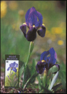 2357 - MK - Gentse Floraliën VIII - 1981-1990