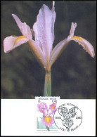 2903 - MK - Gentse Floraliën X  - 1991-2000