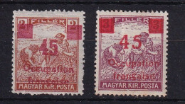 D 813 / HONGRIE ARAD / N° 13/13B NEUF* COTE 55€ - Unused Stamps